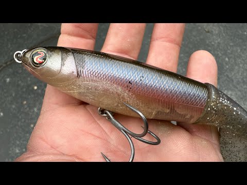 New Details Emerge On The Whopper Plopper…