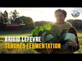 How To Ferment Vegetables At Home Lacto Fermentation For Beginners
