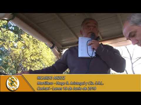 18-06-18 Nota Ricardo Arzoz - Hugo R. Aristegui y Cia S.R.L. - Cacharí.