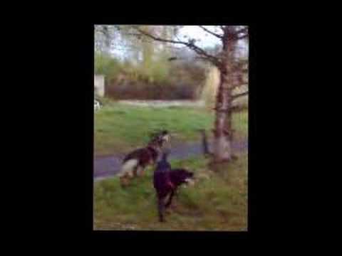 PSYKOTRIP back in time 2