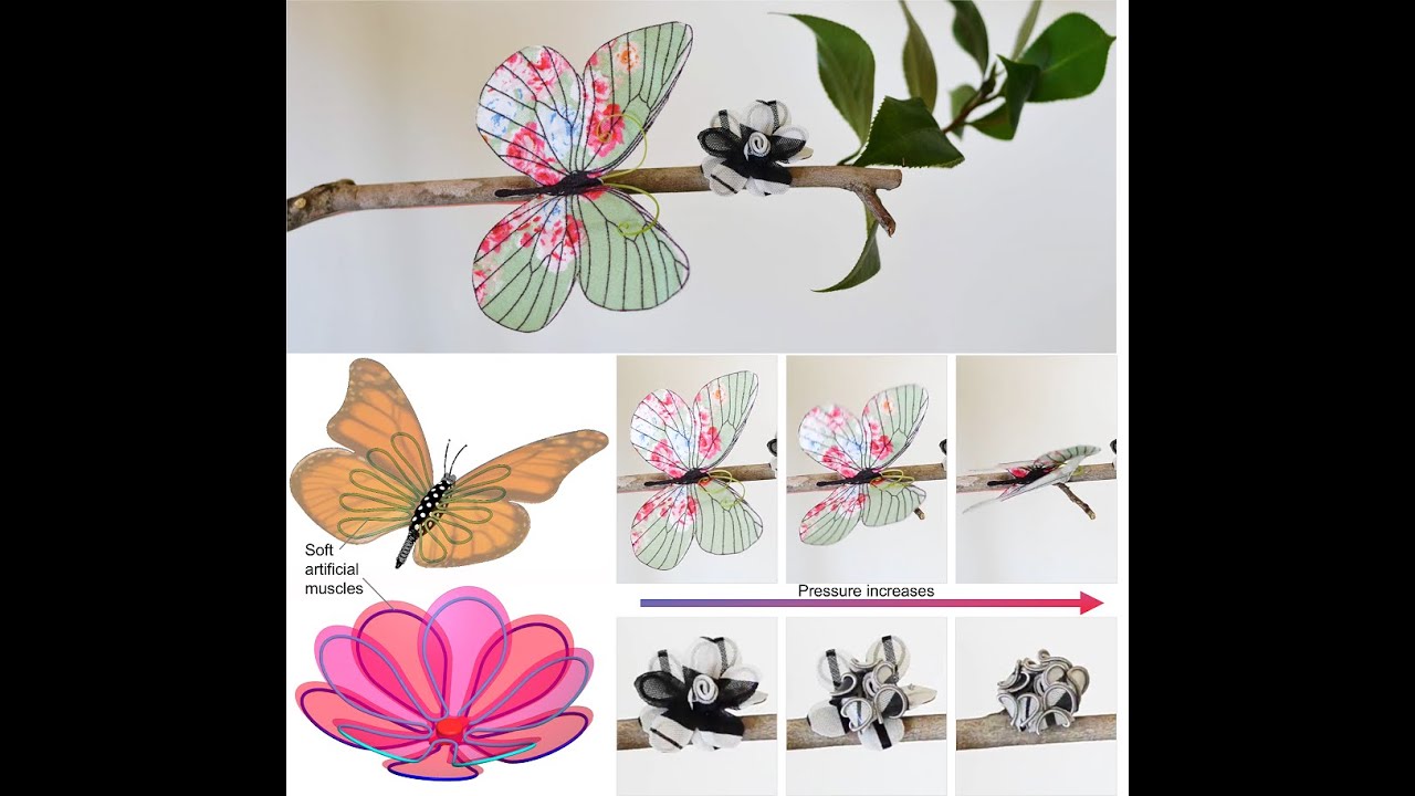 New shape-shifting smart textile material created that can move like a robot