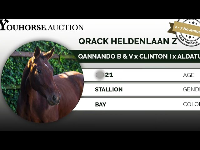 Qrack Heldenlaan