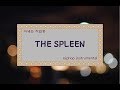 The spleen (Hiphop instrumental) Re-uploaded!