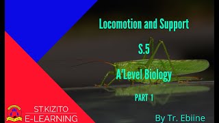 Locomotion and Support PART 1