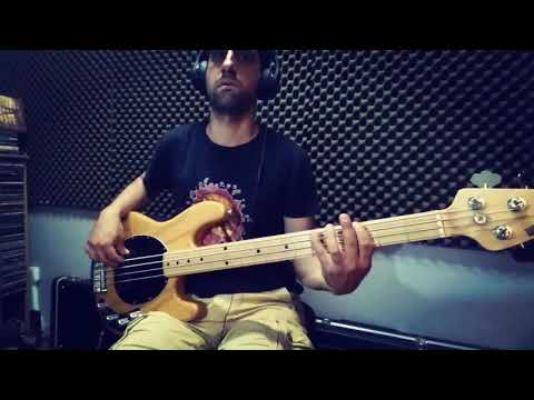 bass cover Rage Against The Machine: freedom  with my music man sting ray bass