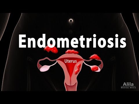 Hormonal Control of the Menstrual Cycle Animation