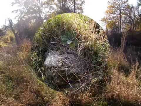 Stećci village Podastinje.Kiseljak.Loc.No.3 UNESCO World Heritage