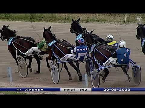 Aversa trotto 20 Maggio 2023 - 4° Corsa