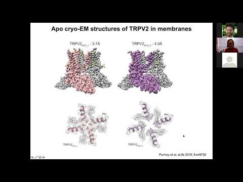 Prof. Vera Moiseenkova-Bell -- Structural insights into TRP channels gating