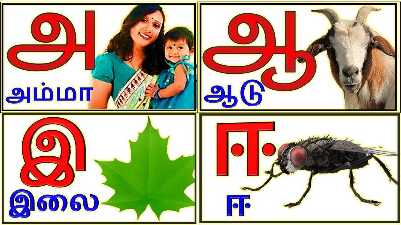 Uyir Ezhuthukal | Learn Tamil Alphabets/அ அம்மா 🤱 ஆ ஆடு 🐐 || அ ஆ இ ஈ / உயிர் எழுத்துக்கள் /@prinit