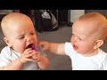 Best Videos Of Cutest And Funniest Twin Babies Twin Babies Videos
