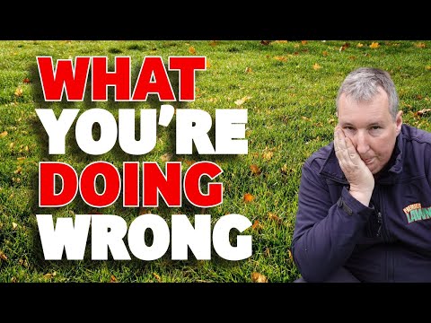 STOP Before It’s Too Late! Don’t Ruin Your Lawn This Autumn