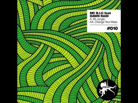 MC B.I.C ft Dawn Raid _  Mr Jungle