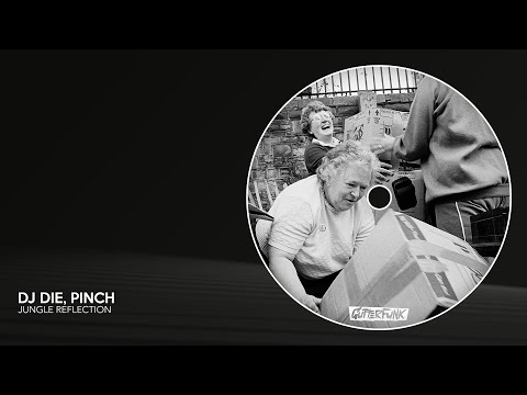 DJ Die & Pinch - Jungle Reflection