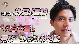【占い】2023年3月八白土星の運勢「次のステージに行くための大事な期間!走り切って」