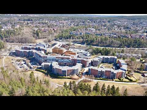 Pumba Ft. Danny & El Axel - Dette Er Holmlia