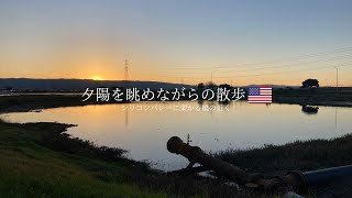 【海外散歩】シリコンバレーの街に架かるDumbarton Bridge付近の景色が綺麗すぎた！