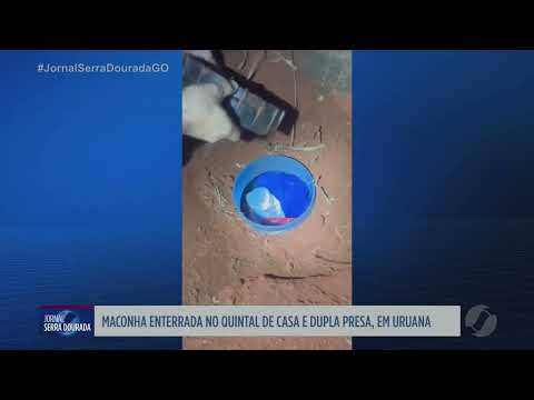 Maconha enterrada no quintal; dupla presa em Uruana