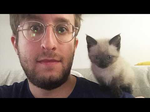 This Cat Is a Born Comedian – Watch Him Make Everyone Laugh