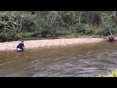 Nymphing por pequenas truchas en Ecuador