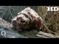 Rodents Of Unusual Size | 2018 Official Movie Trailer #Documentary Film