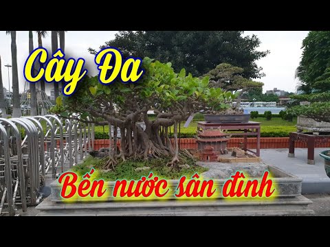 SH.4363. Cây Đa bến nước sân đình đẹp quá tại triển lãm Bắc Ninh.