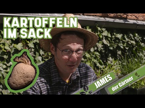 Kartoffeln im Sack – so baut man Kartoffeln auf Balkon und Terrasse an | James der Gärtner