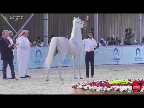 N.160 HAITHMAN AL NASSER - Gulf SE Cup 2018