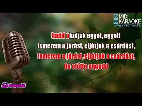 Horváth Tamás - A Szőlősbe (Karaoke) demó