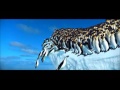 Finding Alvin Part 17 Penguins