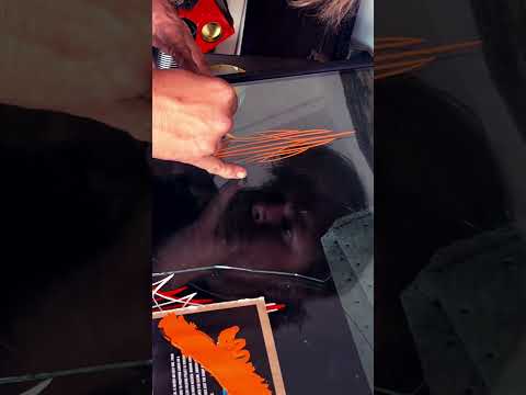 Practice makes perfect!! #hotrod #pinstriping #oneshot #custom #paint #art