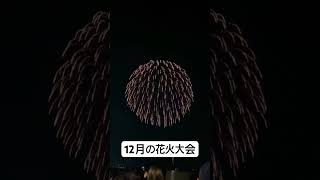 夏の忘れ形見 #花火 #花火大会