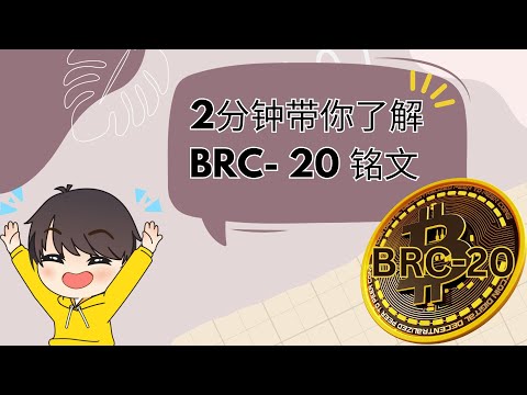 fmb 意思