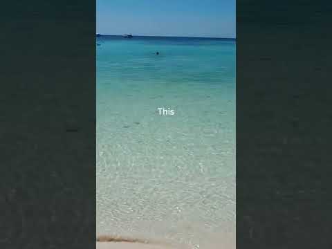 Beach Vibes Tiktok hannahdeeksabroad