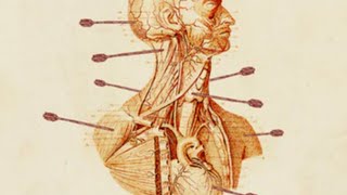 THE ARCHER&#39;S PARADE (Livestream Listening Party)