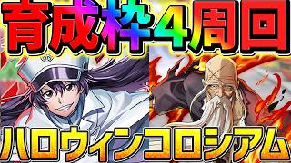 【3分台】ハロウィンコロシアムを育成枠4で+891周回！山本×バンビエッタ編成！【パズドラ】