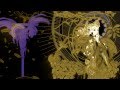 paradise lost-theories from another world (lyric video ...