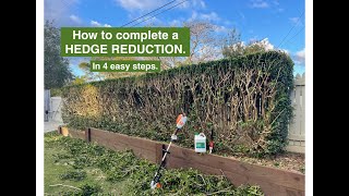 How to complete a HEDGE REDUCTION like a PRO. 4 easy steps.