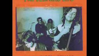 The Flaming Lips Lightning Strikes the Postman