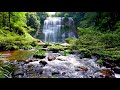 Cascade & Stream flowing in the Forest. Mountain Stream Nature Sounds for Sleep and Relaxation.