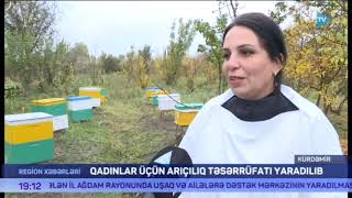 Qadınlar üçün arıçılıq təsərrüfatı yaradılıb