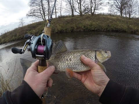 22 Shimano Aldebaran bfs HG - the very first catch. #bfsfishing