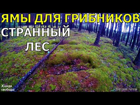 Ямы для трупов! Не кушайте грибы!! Кладбище неопытных грибников. УкрТур 2. Серия 8