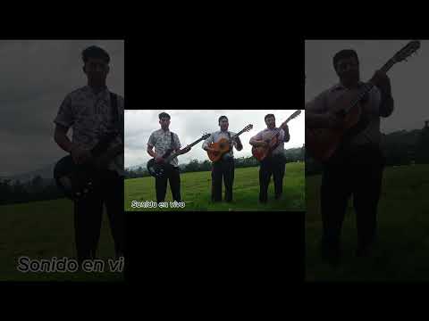 Tal como viene se va