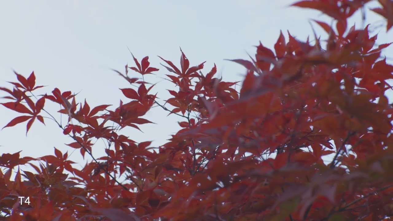 Vision test 001 - YouTube