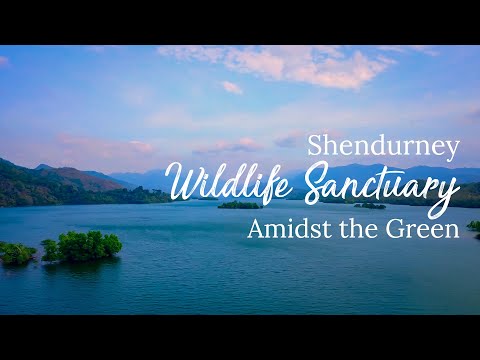 Shendurney Wildlife Sanctuary 