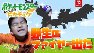 【ポケットモンスターLet'sGoピカチュー】3番道路で色違いのヒトカゲ探ししてたらとんでもない奴が出た！