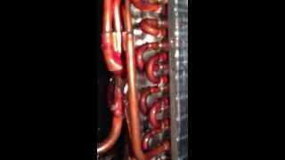 Download lagu Rip perdita gas. mp3