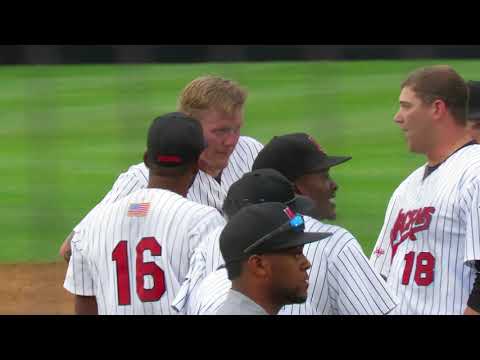 Big Bench-Clearing Independent Baseball League Brawl