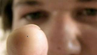 HE'S FOLLOWING YOU! -- DONG!